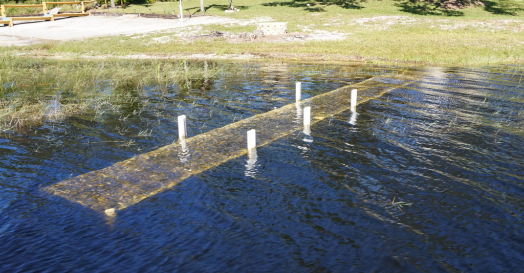 Submerged Dock on Crooked Lake